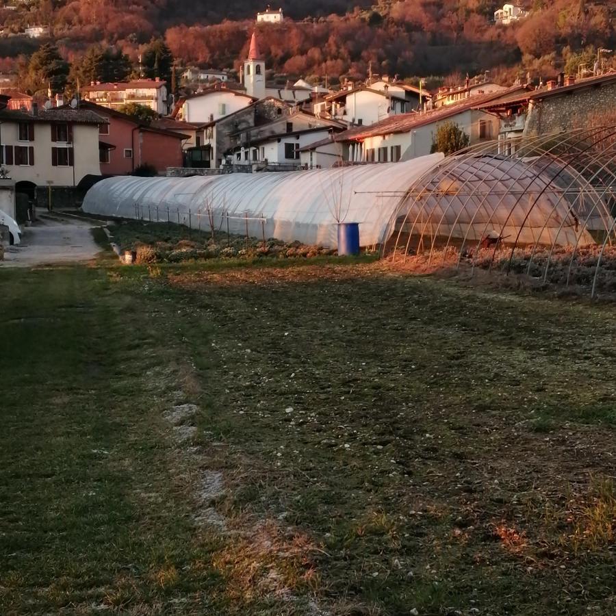 סאלו Agriturismo Corte Fontana App. Barbara מראה חיצוני תמונה